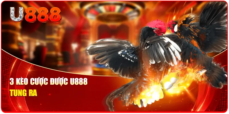 Kèo Đá Gà U888 - 3 Mẹo Săn Thưởng Triệu Đô Từ Chuyên Gia 2 3 kèo cược được U888 tung ra