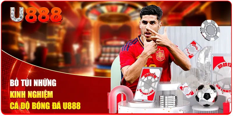 Cá Độ Bóng Đá U888 - Trải Nghiệm Giải Trí Đẳng Cấp Số 1 3 Bỏ túi những kinh nghiệm cá độ bóng đá U888