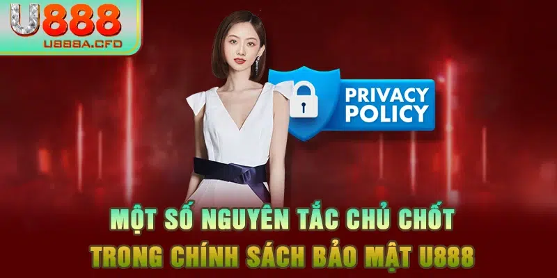 Một số nguyên tắc chủ chốt trong chính sách bảo mật U888